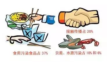 沙尔克球员集体感染流感，德甲战局再次生变的简单介绍